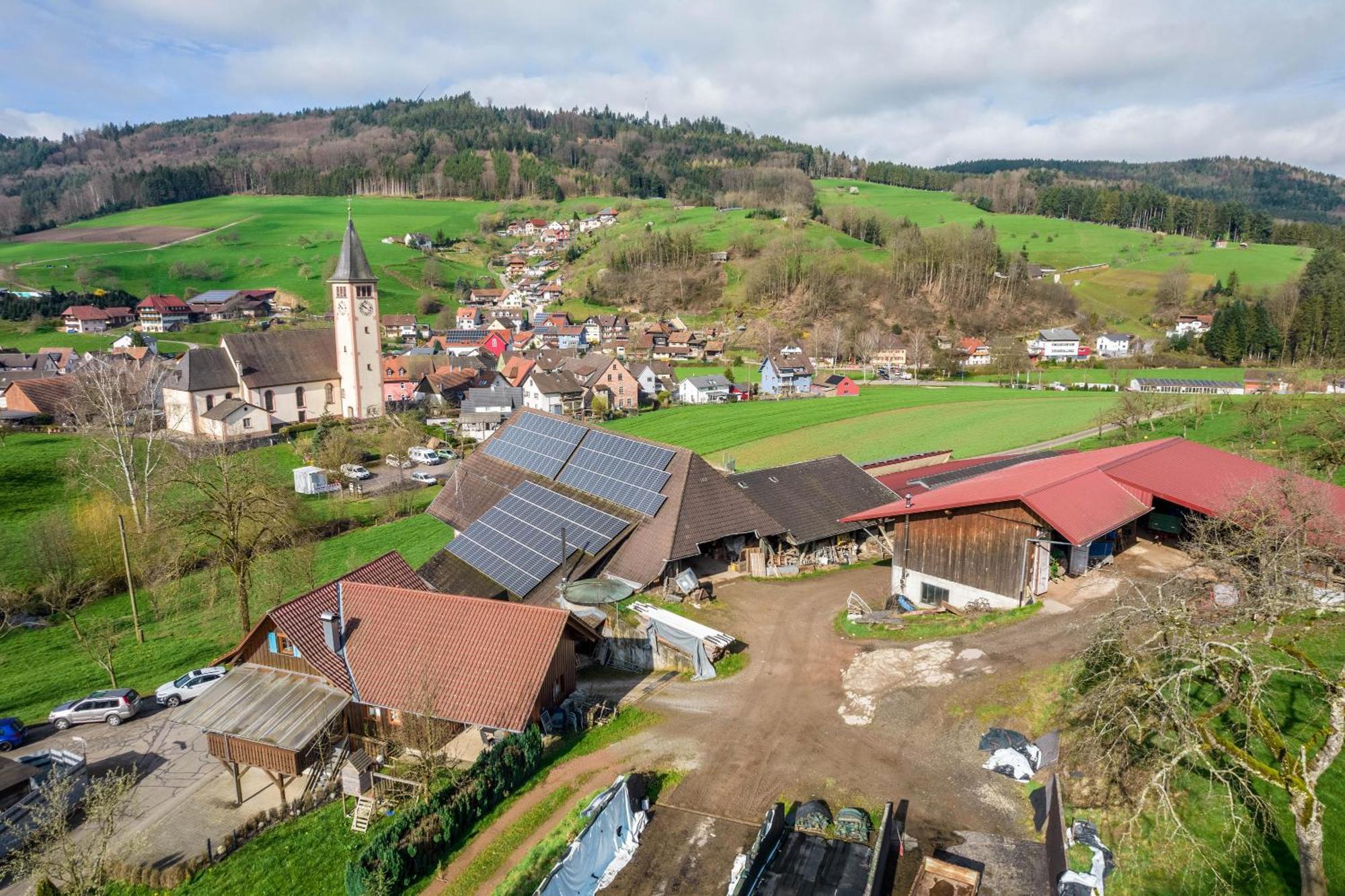 Ziegelhof Daire Schuttertal Dış mekan fotoğraf
