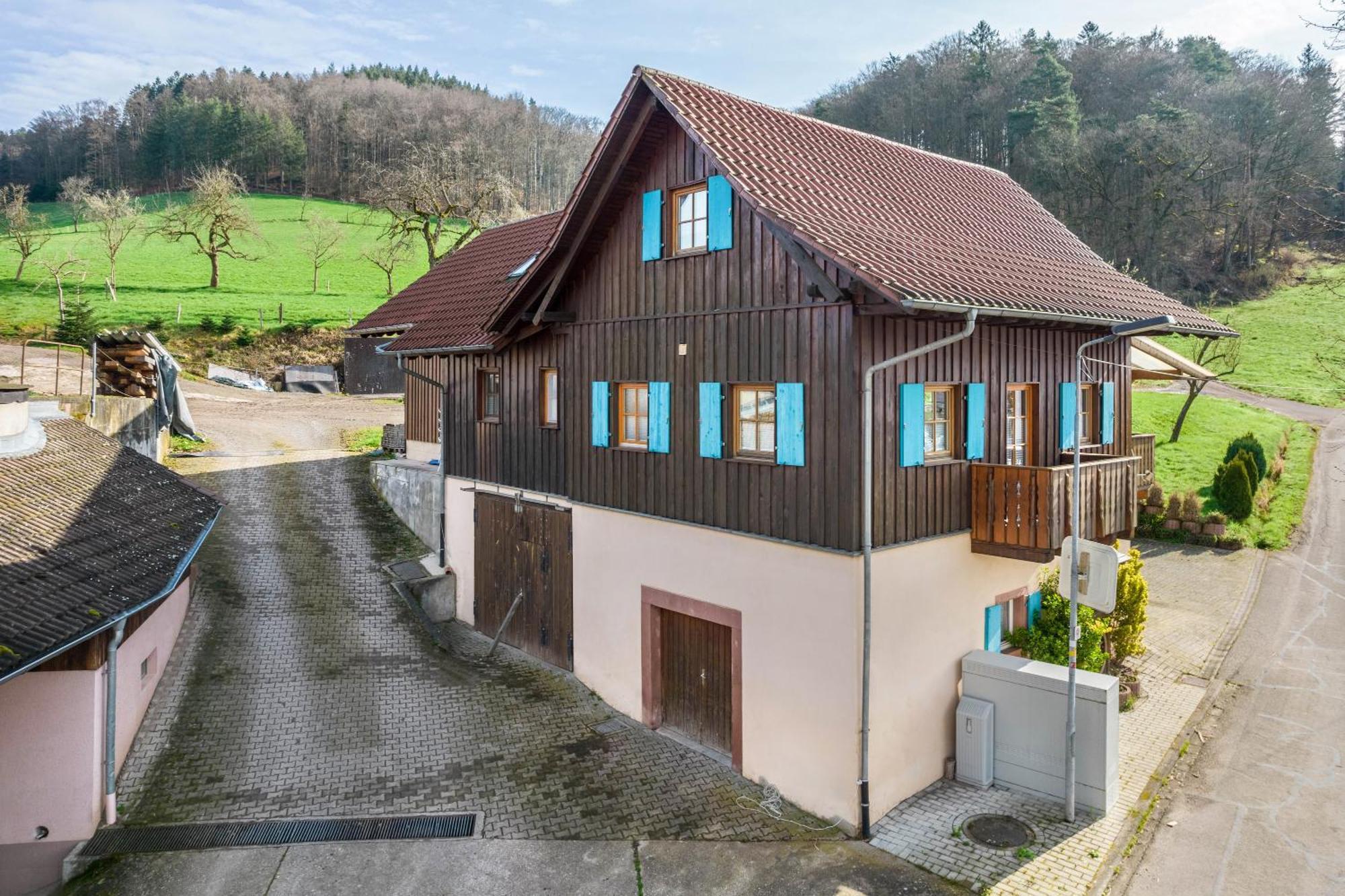 Ziegelhof Daire Schuttertal Dış mekan fotoğraf