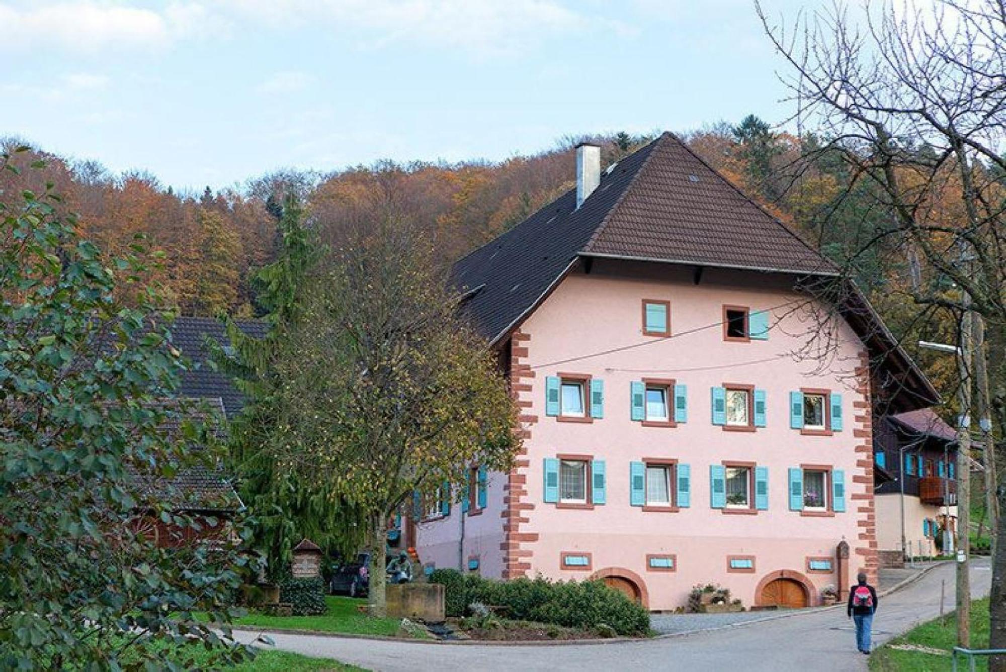Ziegelhof Daire Schuttertal Dış mekan fotoğraf